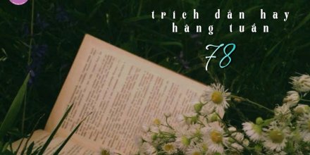 Thiết kế: Hồng Nhật - 📸: Sưu tầm