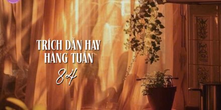 Thiết kế: Hồng Nhật - 📸: Sưu tầm