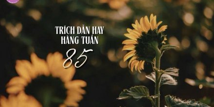 Thiết kế: Hồng Nhật - 📸: Sưu tầm