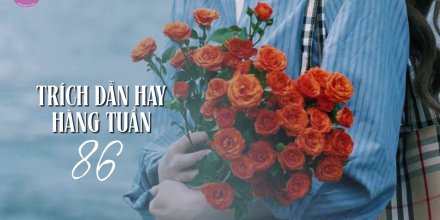 Thiết kế: Hồng Nhật - 📸: Sưu tầm