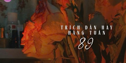 Thiết kế: Hồng Nhật - 📸: Sưu tầm