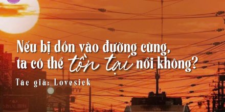 Thiết kế: Hồng Nhật - 📸: Sưu tầm