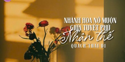 Thiết kế: Hồng Nhật - 📸: Sưu tầm