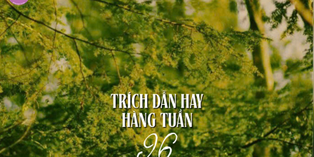 Thiết kế: Hồng Nhật - 📸: Sưu tầm