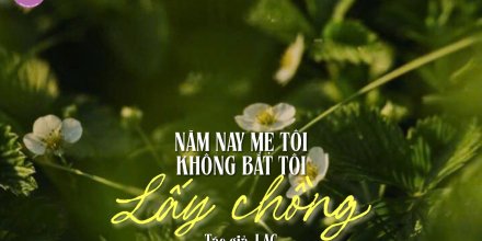 Thiết kế: Hồng Nhật - 📸: Sưu tầm