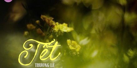 Thiết kế: Hồng Nhật - 📸: Sưu tầm