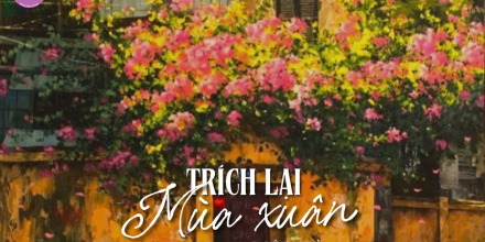 Thiết kế: Hồng Nhật - 📸: Sưu tầm