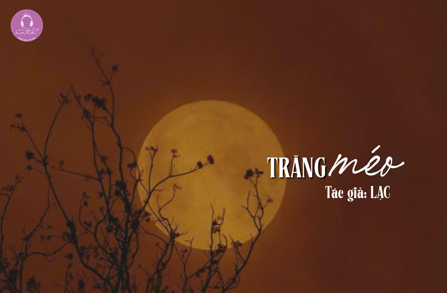 TRĂNG MÉO