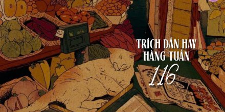 Thiết kế: Hồng Nhật - 📸: Sưu tầm