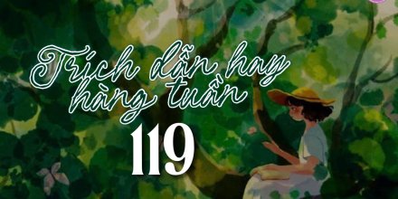 Thiết kế: Hồng Nhật - 📸: Sưu tầm