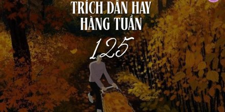 Thiết kế: Hồng Nhật - 📸: Sưu tầm