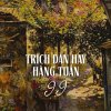 Thiết kế: Hồng Nhật - 📸: Sưu tầm