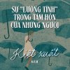 Thiết kế: Hồng Nhật - 📸: Sưu tầm